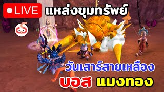 🔴12Tails บอส แมงทอง ดรอปGold แหล่งหาเงินทำของ วันเสาร์ [upl. by Hamas452]