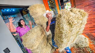 AGORA VOU SER EXPULSO DA FAZENDA  Cobri a porta do Rei do Gado com Feno [upl. by Assirol]