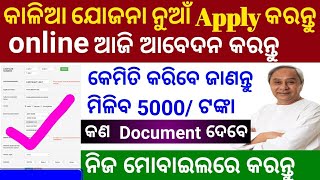 Kalia Yojana Online Apply 2021 Kalia Yojana New Online Apply 2021 Suna Tech [upl. by Warwick242]