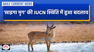 Change in IUCN status of Saiga antelope  Daily Current News  Drishti IAS [upl. by Acissehc]