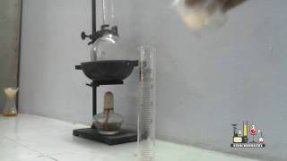 PREPARATION OF NICKEL DIMETHYLGLYOXIME COMPLEX  FEDERAL BOARD PRACTICALS CHEMISTRY  FBISE [upl. by Patrizio965]