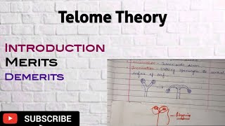 Telome theory Merits and Demerits of Telome Theory of Pteridophyte [upl. by Wahlstrom944]