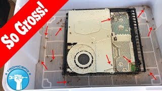 This Will Make Your Skin Crawl Fixing A Cockroach Infested PS4 [upl. by Anirol603]