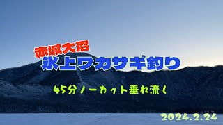 【ノーカット】2024224赤城大沼氷上ワカサギ釣り [upl. by Notsuoh]