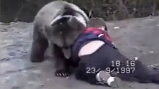 Young Khabib Nurmagomedov Wrestling A Bear [upl. by Monty]