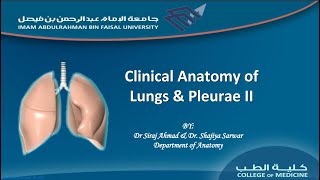 Clinical anatomy of Lungs and pleurae 2 [upl. by Acinorev]