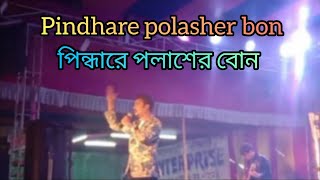 PINDARE POLASHER BON  পিন্দারে পলাশের বোন । [upl. by Hibbert341]