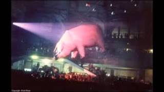 Pink Floyd LIVE  Cleveland 1977  Shine On You Crazy Diamond  Animals Tour [upl. by Ryhpez601]