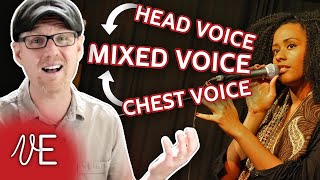 How To Sing With A Mixed Voice  With Amazing Singing Examples  DrDan 🎤 [upl. by Durno26]