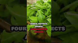 11 HEALTH BENEFITS of ARUGULA shorts arugula fitness health healthy nutrition longevity diet [upl. by Ennoid]