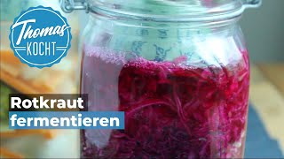 Rotkraut fermentieren und haltbar machen  Thomas kocht [upl. by Bokaj752]