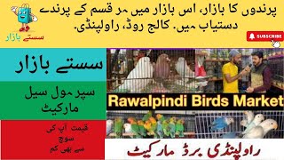 Birds Market College Road Rawalpindi [upl. by Stag394]