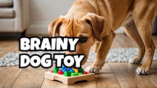 A Unique Dog Puzzle Toy to Challenge Your Pet [upl. by Hareema215]