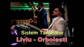 Sistemul tarabanelorTrankilaLiviu de la Orboiesti manele live majorat 2011 [upl. by Ellevehs]