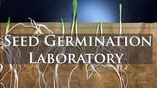 Seed Germination in the National Plant Germplasm System NCRPIS Ames Iowa [upl. by Merrow477]