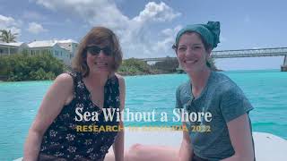 Research in Bermuda 2022  SEA WITHOUT A SHORE  Katherine Roy [upl. by Ardnaid]