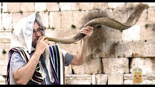 🔴El Shofar y sus significados שופר Levita de Hashem [upl. by Eisen]