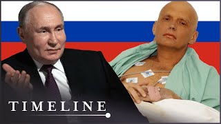 Why Putin Ordered Alexander Litvinenkos Murder  Hunting The KGB Killers  Timeline [upl. by Suaeddaht468]