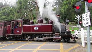 Puffing Billy railway steam locomotive 12A Belgrave [upl. by Raveaux]