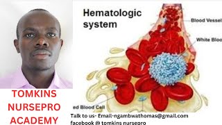 HEMATOLOGIC SYSTEM DISORDERS [upl. by Nywles]