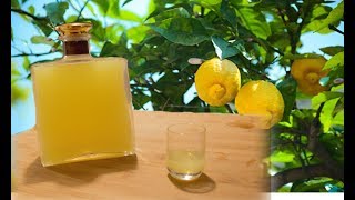 How To Make Limoncello Easy Tasty amp Refreshing [upl. by Berkin]