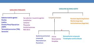 Classification of Ganglionic stimulants amp blocking agents [upl. by Adnamar285]