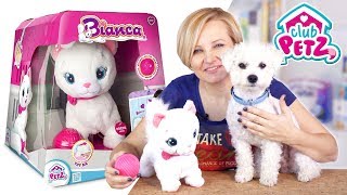 Bianca Interaktywny Kotek Club Petz TM Toys [upl. by Nnylekoorb694]