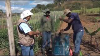 Dica Técnica O biofertilizante quotTinocãoquot 071017 [upl. by Meehahs721]