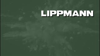 Lippmann Company Video  2024 [upl. by Acirne705]