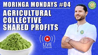 Agricultural Collective Business Model  Profit Shares amp Payouts  Farmers Market  Growing Moringa [upl. by Silver]