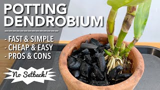 POTTING NEW DENDROBIUM ORCHID  How to Plant Orchid in a Pot  Paano Magtanim ng Orchid sa Paso [upl. by Hallett147]