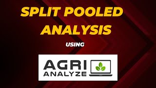 Split Plot Pooled Analysis [upl. by Lander]