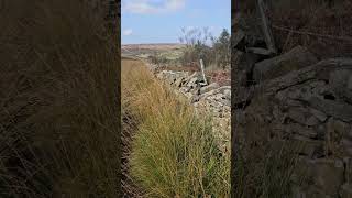 Darwen Moor travel punkatit lancashire darwen darwenmoor nature moor [upl. by Eserrehs]