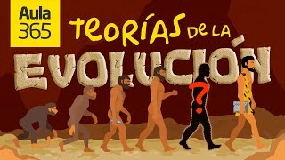 Las Teorías de la Evolución Fijismo vs transformismo  Videos Educativos Aula365 [upl. by Eninnaj]