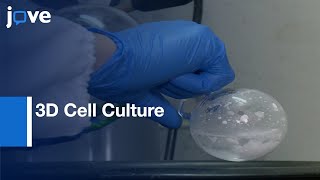 Preparation ChitosanBased Injectable Hydrogels amp Application3D Cell Culture l Protocol Preview [upl. by Adnuhsal]