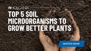 Holganix  Top 5 Soil Microorganisms to Grow Better Plants [upl. by Roland]