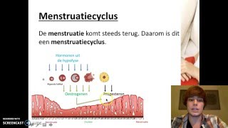 Voortplanting  De menstruatie [upl. by Hew]