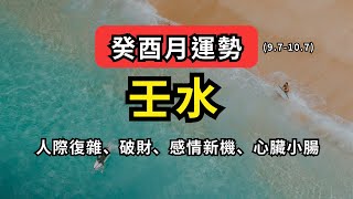 【每月運勢】壬水人  本月關鍵詞：人際復雜、破財風險、感情新機、心臟小腸壬水六日柱分析 甲辰年癸酉月運勢 [upl. by Peltier]