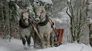 Stefan Hrusca  Colaj colinde  Christmas Music  Cantece de craciun [upl. by Fishman]