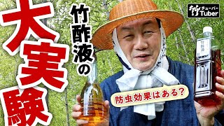 【竹虎】蚊に刺されない！？竹酢液の防虫効果は本当か？竹虎四代目が大実験！ 竹チューバー竹虎四代目の世界 [upl. by Rupert418]