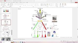 라이브 랩미팅 79 Flow cytometry amp FACS gating strategy [upl. by Ekud]