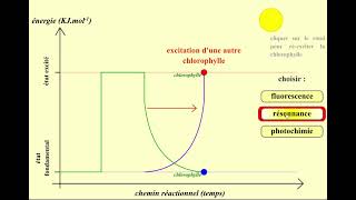 Chlorophylle fluorescence résonance et photochimie [upl. by Laband811]