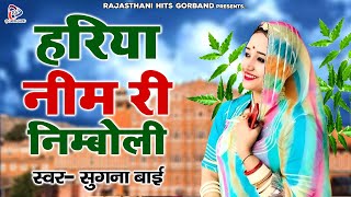 Rajasthani Lokgeet 2022 quot हरिया नीम री निम्बोली quot Sugnai Bai का गीत  Marwadi Lokgeet [upl. by Bander140]