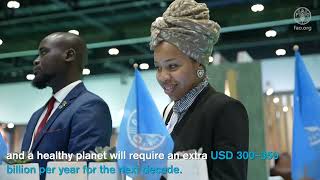 FAO at the World Investment Forum [upl. by Etiragram]