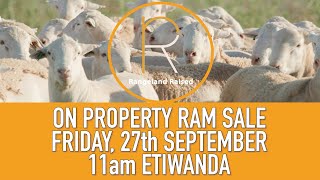 Etiwanda Rangeland Raised 2024 Annual Ram Sale [upl. by Nessi]