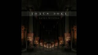 Torus Dome  Vetus Mundus Dark Ambient [upl. by Yerot109]