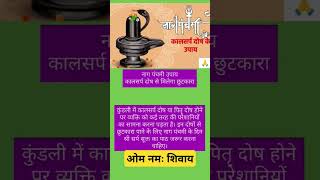 Nag panchmi per Kaal sarp dosh ke upay motivation mahadevupay facts trending astrology shorts [upl. by Pearman]