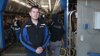 DeLaval P500 parlour  Rasmus Nielsen Denmark Danish language [upl. by Renaldo]