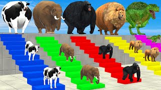 Cow Elephant Lion Gorilla Tiger TRex Choose the RIGHT Animal ESCAPE ROOM CHALLENGE MYSTERY BOX [upl. by Chucho]