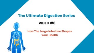 Ultimate Digestion Series How the Large Intestine Shapes Your Health [upl. by Slotnick]